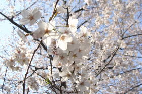 ���̃A�b�v�ʐ^