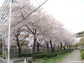 �C�g�[���[�J�h�[�ђ��X������