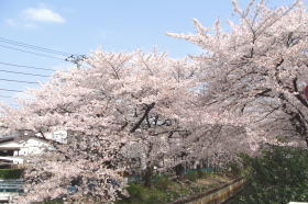 �˓c�s�����̖����@�r�쐅�z�Z���^�[���ʐ^