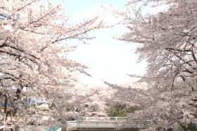 �˓c�s�����̖����@�r�쐅�z�Z���^�[���ʐ^