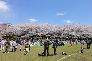 �n�s������������܂�ʐ^