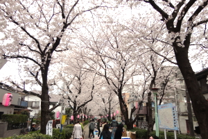 �n�s�쒬���܂�@���ʐ^