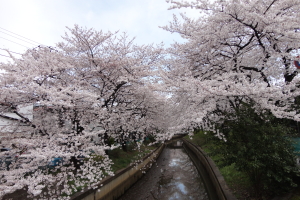 �r�쐅�z�Z���^�[�@�����؁@���ʐ^