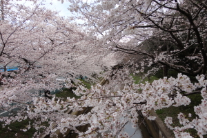 �r�쐅�z�Z���^�[�@�����؁@���ʐ^