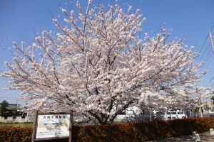 ����������E��Ԗؒ����r�@���̎ʐ^