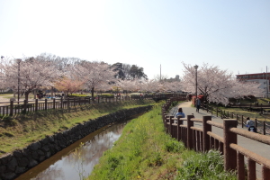 ����������E��Ԗؒ����r�@���̎ʐ^