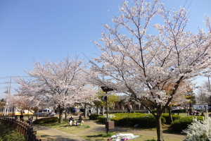 ����������E��Ԗؒ����r�@���̎ʐ^