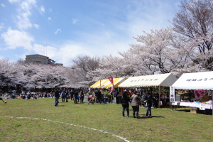 �n�s������������ʐ^