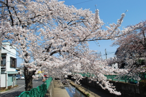 �O��݂ǂ��@���܂�@���̎ʐ^