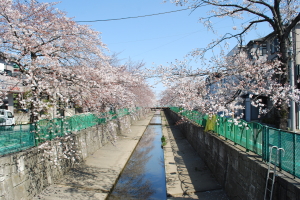 �O��݂ǂ��@���܂�@���̎ʐ^