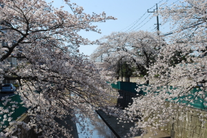 �O��݂ǂ��@���܂�@���̎ʐ^