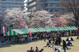 ��������A�p�[�N�@���̎ʐ^