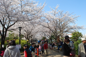 ��������A�p�[�N�@���̎ʐ^