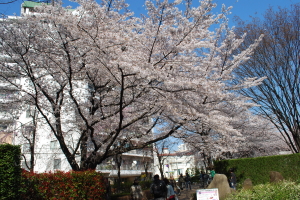 ��������A�p�[�N�@���̎ʐ^