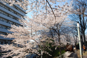 ��������A�p�[�N�@���̎ʐ^