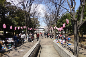 �n�s������������ʐ^