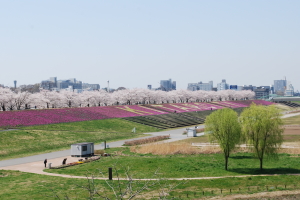 �r��͐�~�u�ԉH����Βn�v���̎ʐ^