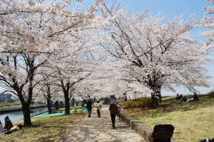 �r��͐�~�u�ԉH����Βn�v���̎ʐ^