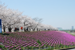 �r��͐�~�u�ԉH����Βn�v���̎ʐ^