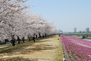 �r��͐�~�u�ԉH����Βn�v���̎ʐ^