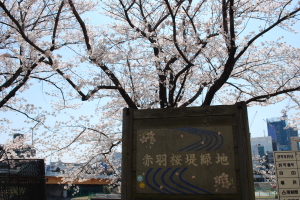 �r��͐�~�u�ԉH����Βn�v���̎ʐ^