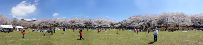 �n�s������������܂�