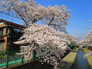 ����s�O��݂ǂ����܂�