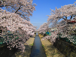 ����s�O��݂ǂ����܂�2