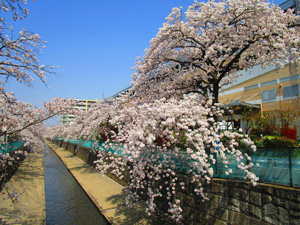 ����s�O��݂ǂ����܂�3