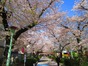 �n�s�쒬������2