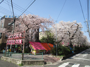 �n�s�쒬������3