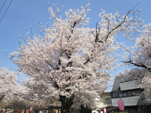 �n�s�쒬������4