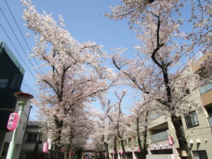 �n�s�쒬������5