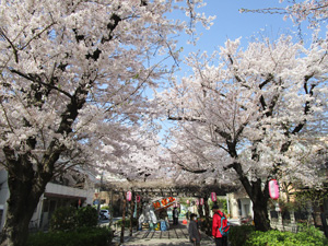 �n�s�쒬������6