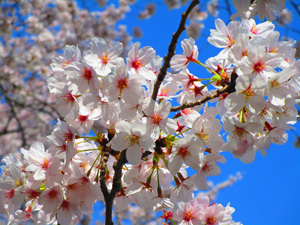 �n�s������2