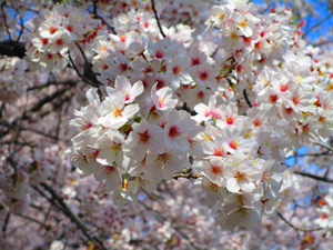 �n�s������3