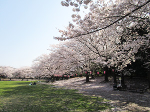 �n�s������4