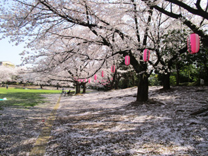 �n�s������5