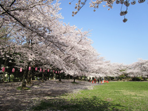 �n�s������6