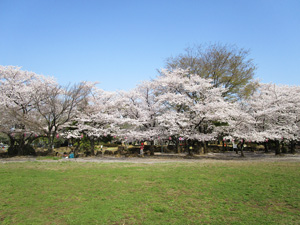 �n�s������7