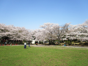 �n�s������8