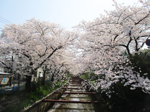 �˓c�s���z������2