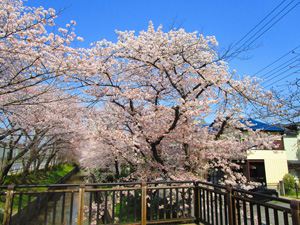 �˓c�s���z������6